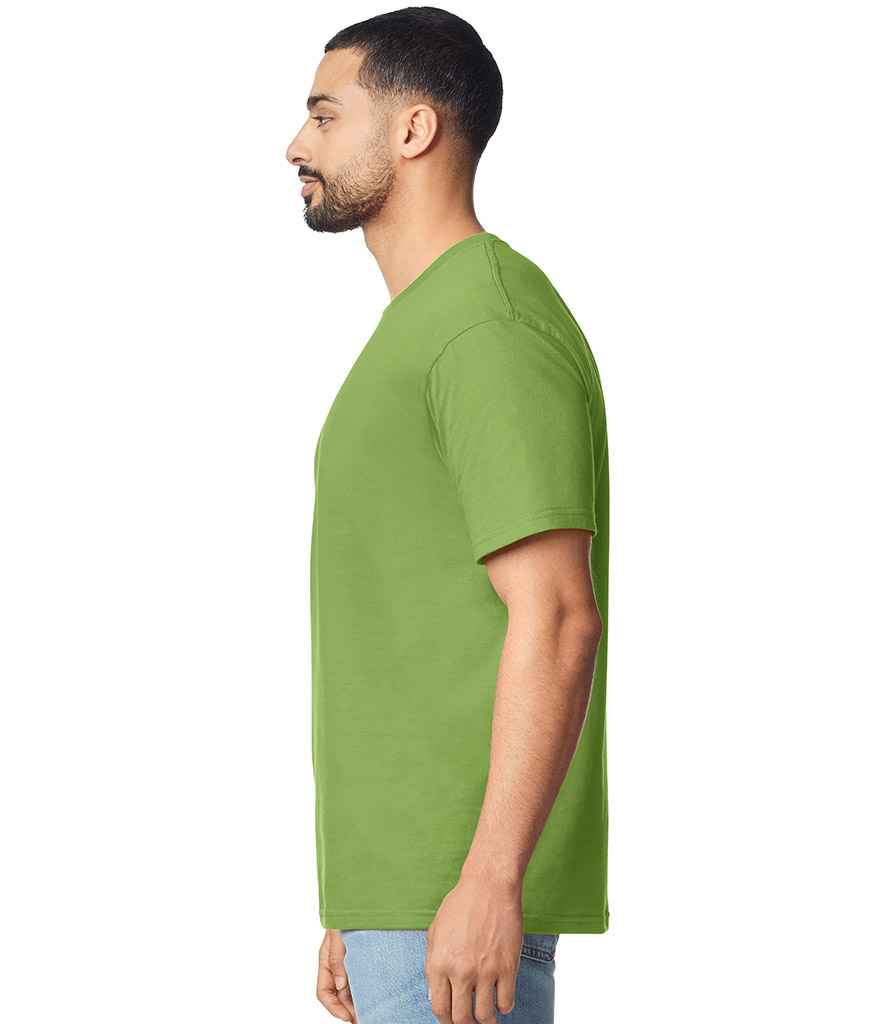 GD01 Kiwi Model