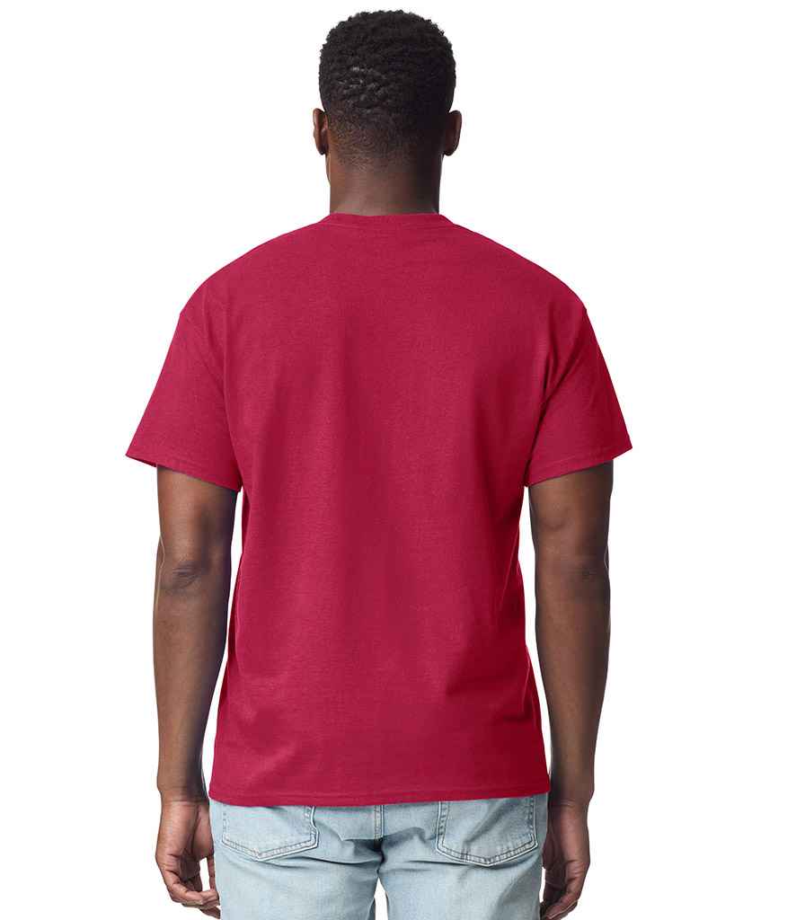 GD02 Cardinal Red Model