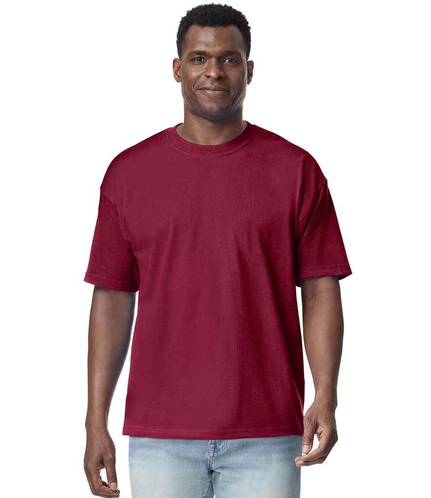 GD201 Garnet Model