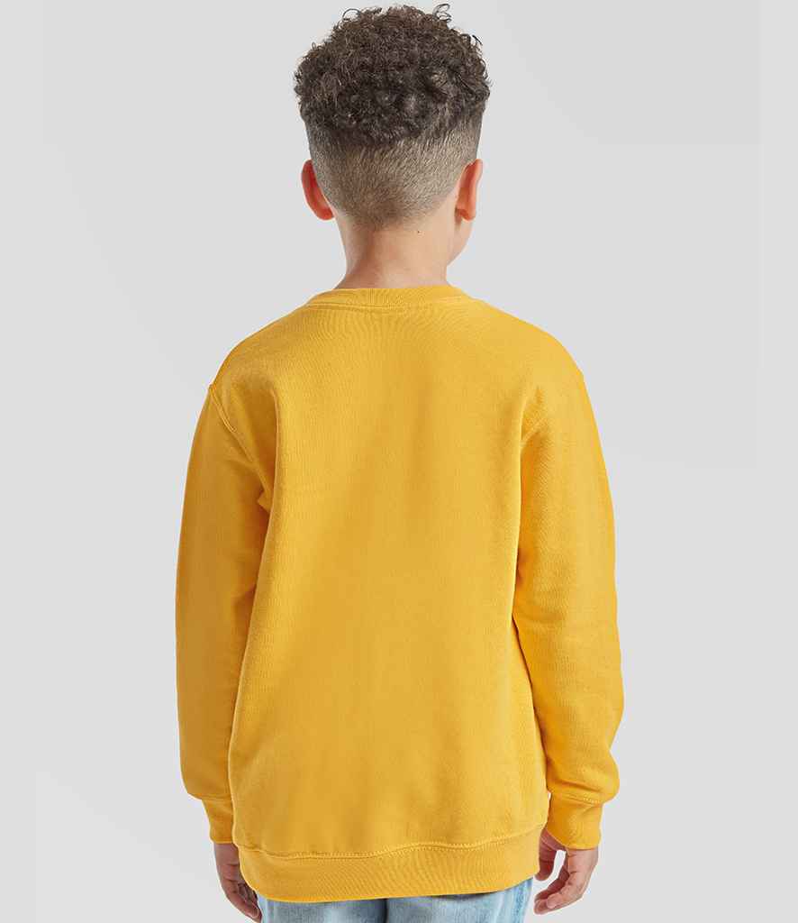 SS9B Sunflower Model