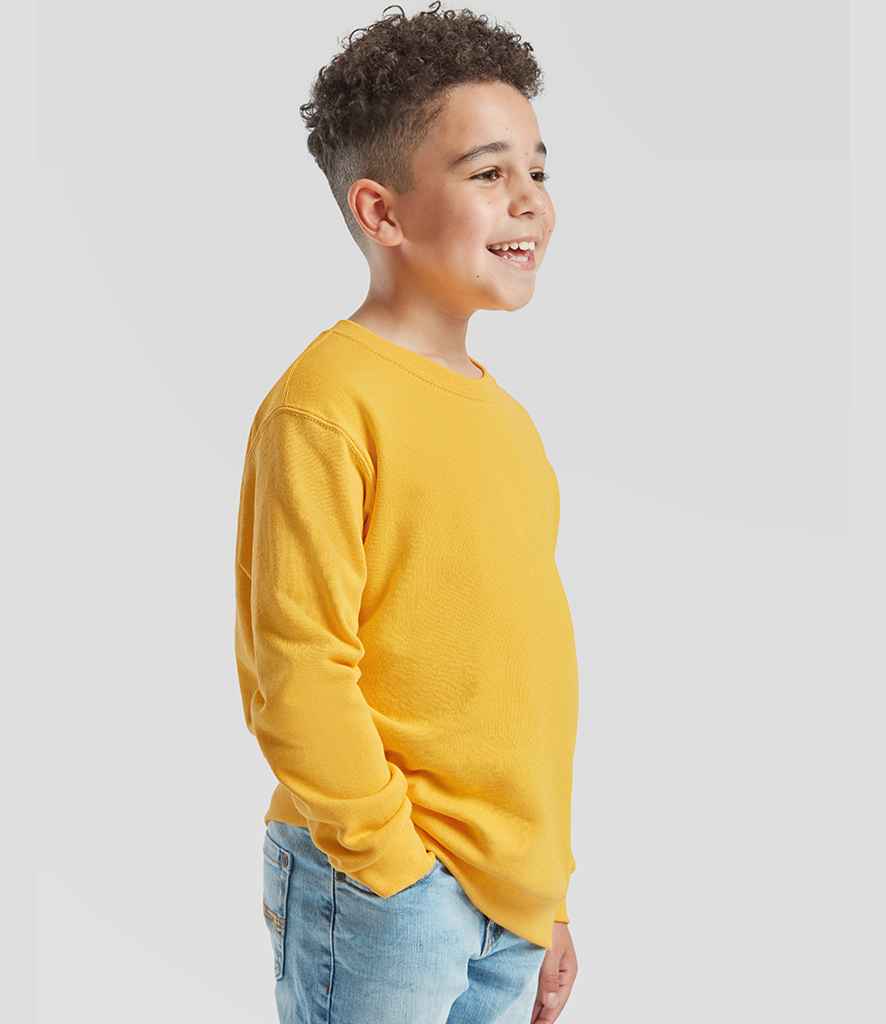 SS9B Sunflower Model