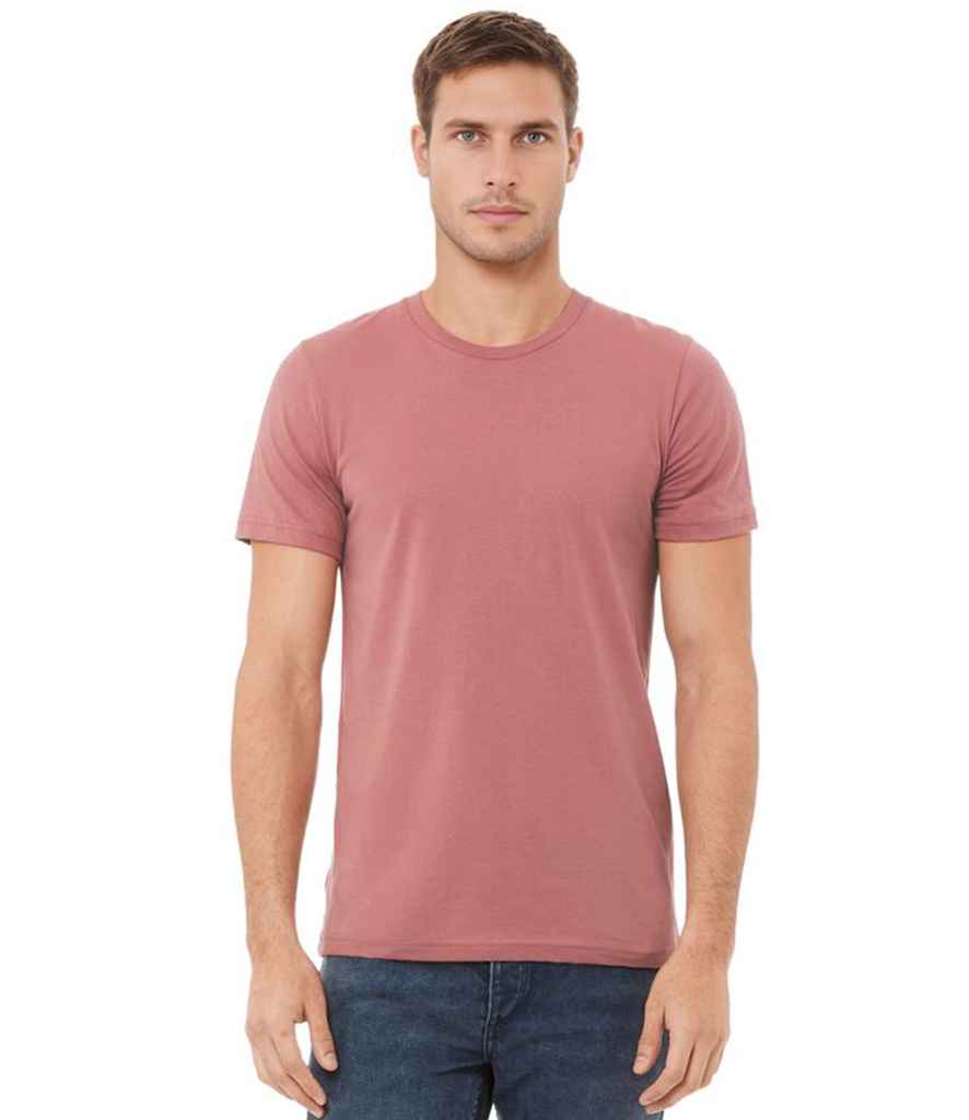 CV3001 Mauve Model