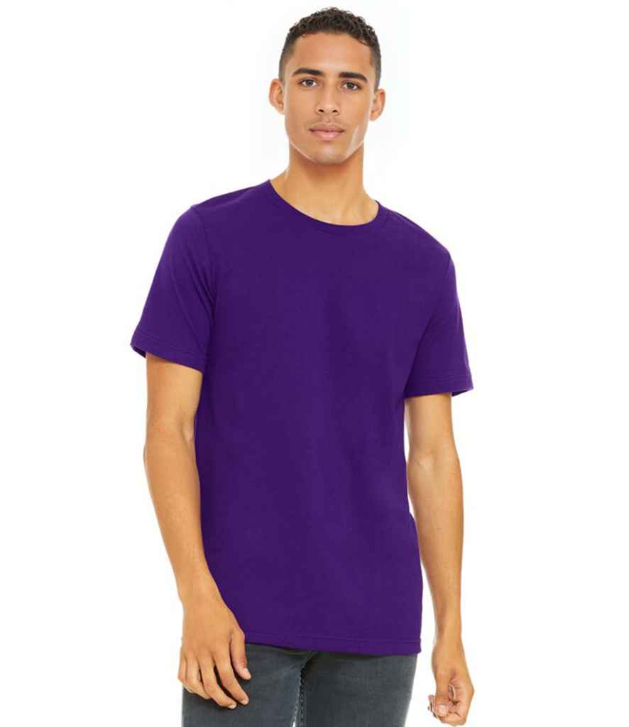 CV3001 Team Purple Model