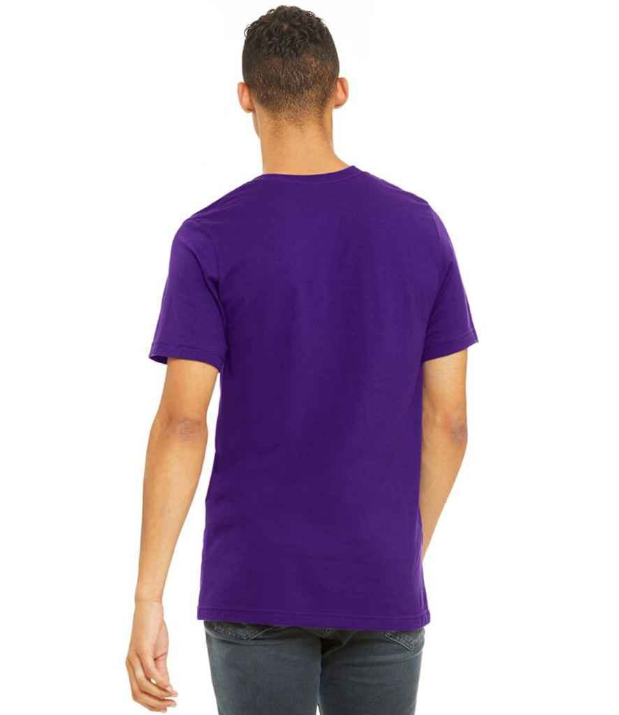 CV3001 Team Purple Model
