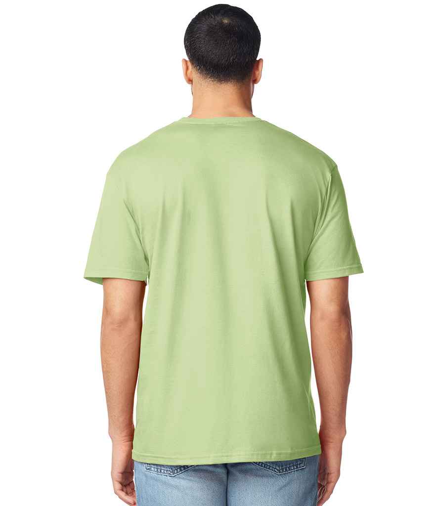 GD01 Pistachio Model