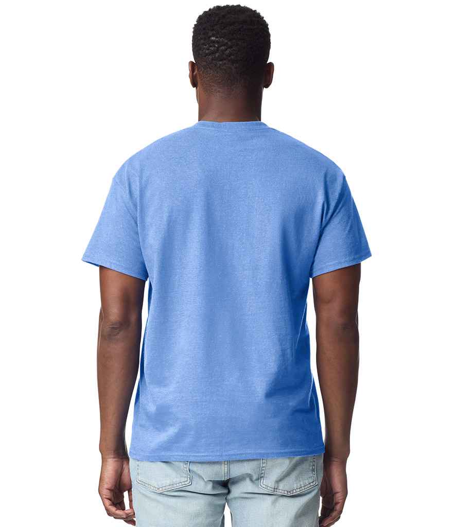 GD02 Carolina Blue Model