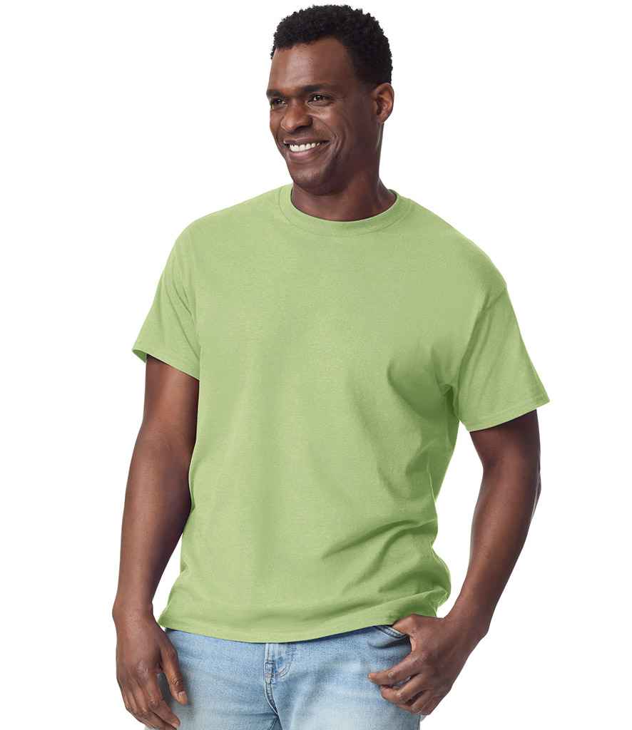 GD02 Pistachio Model
