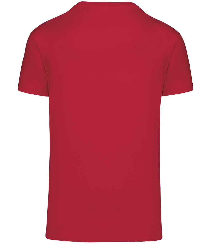 KB3032IC Red Back
