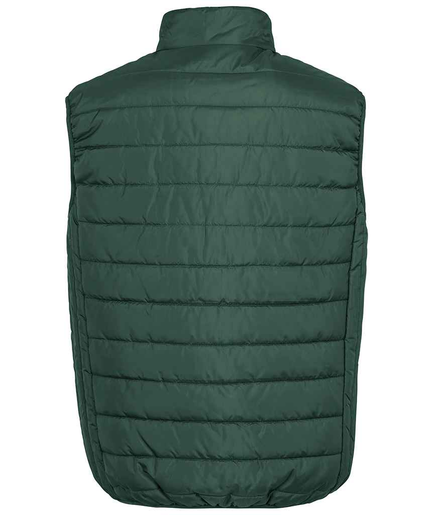 RS244 Bottle Green Back