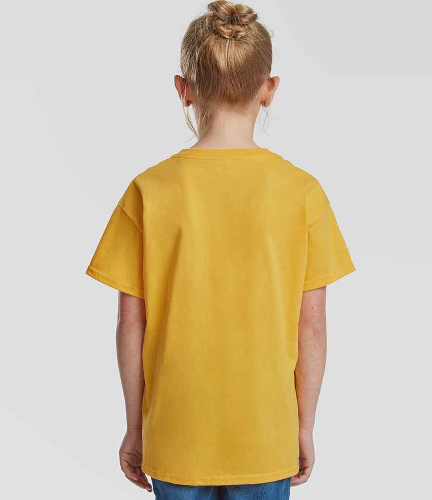SS6B Sunflower Model